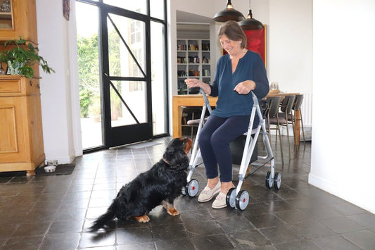 10 manieren om het comfort van je hond te verbeteren met een orthopedische hondenmand - PawRelax
